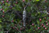 Small Quartz Crystal Moon & Star Pendant