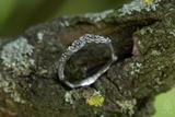 Lichen Ring 