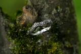 Lichen Ring 