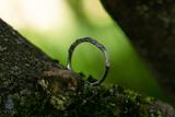 Lichen Ring 