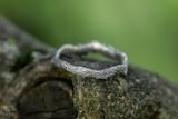 Lichen Ring 