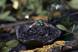 Mossy Chrome Diopside Ring