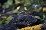 Mossy Chrome Diopside Ring