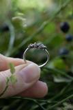 Blueberry  Ring