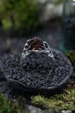 Raw Garnet Crystal Ring
