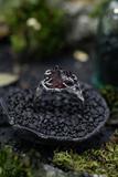 Raw Garnet Crystal Ring