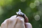 Raw Quartz Crystal Ring