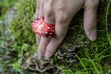 Fly Agaric Mushroom Ring