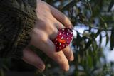 Fly Agaric Mushroom Ring