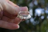 Fly Agaric Mushroom Ring Set