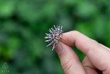 Datura Seed Pod Brooch