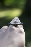 Silver Mountain Raw Quartz Two-Finger Ring