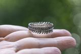 Fern Ring