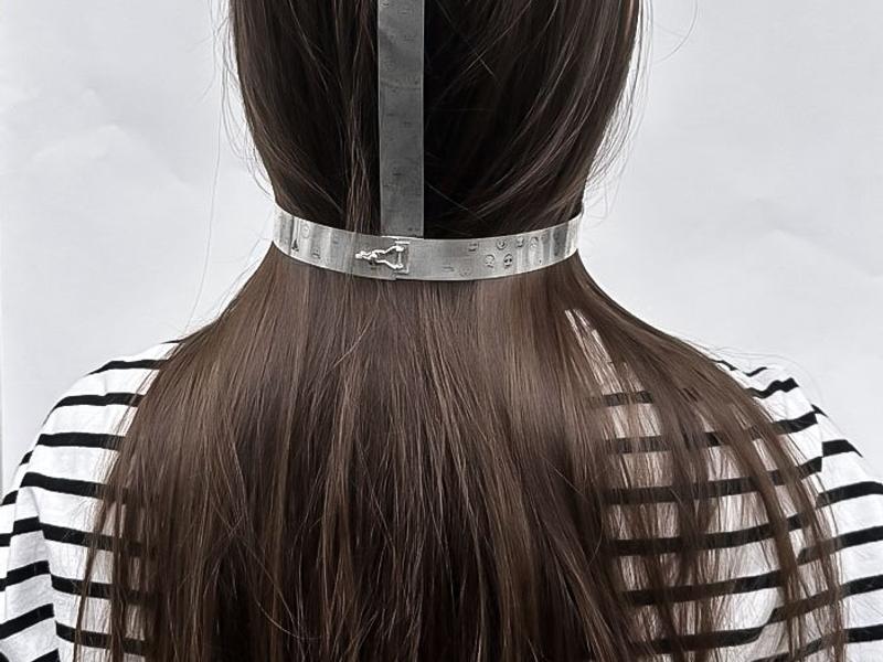 “Social Bridle”  Mask