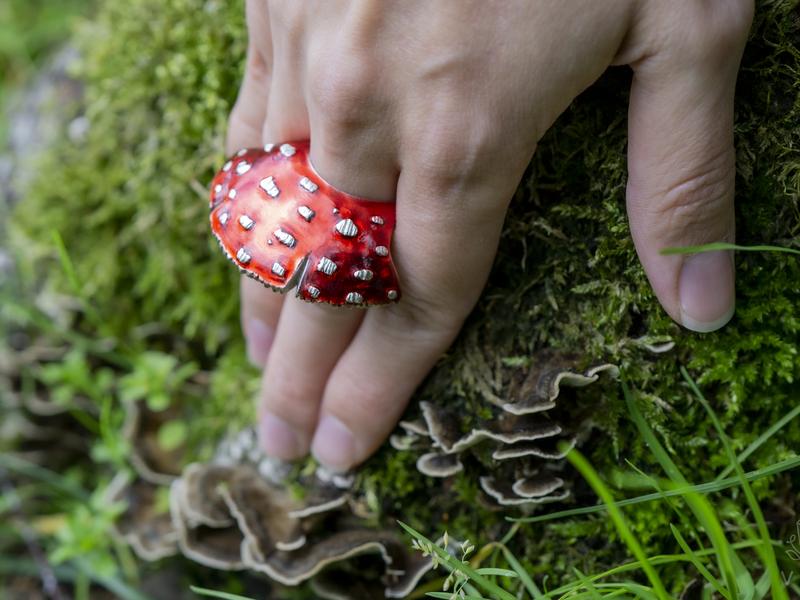 Forest collection